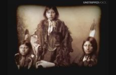 Native American removal