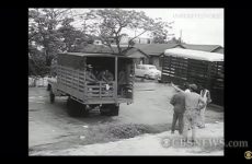 Labor camp Belle Glade FL 1960